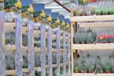 Custom Wood Boxes, Crates & Racks